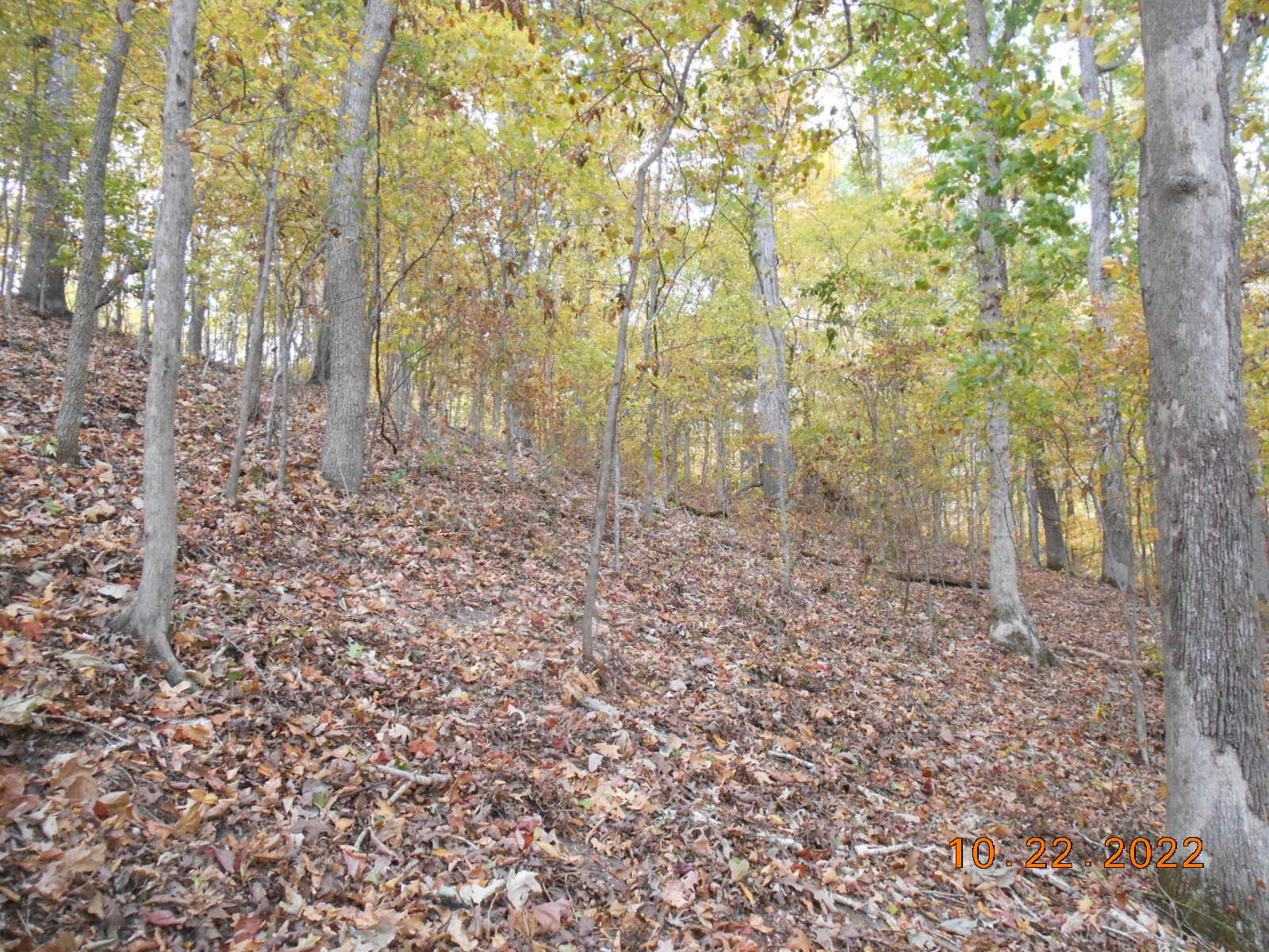 0 Crane Lane Property Photo 13