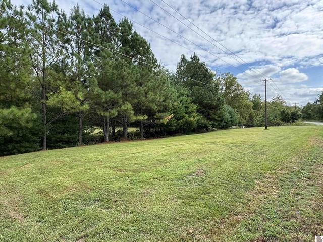 240 Jeff Watson Road Property Photo 1