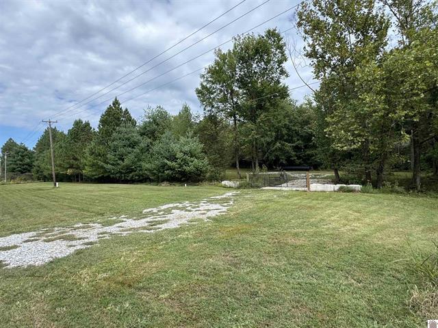 240 Jeff Watson Road Property Photo 2