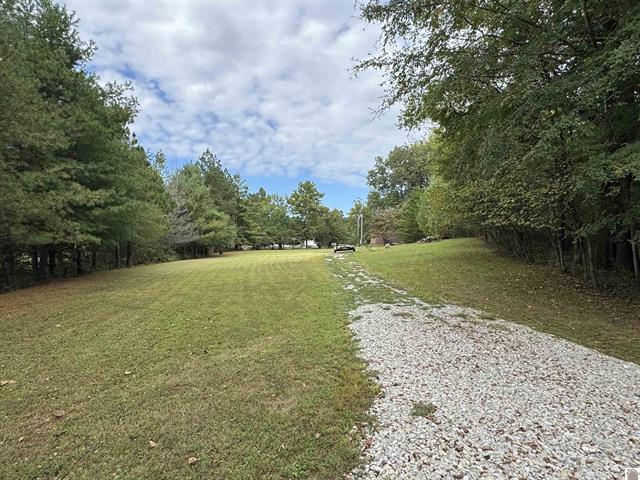 240 Jeff Watson Road Property Photo 5
