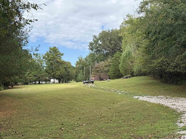 240 Jeff Watson Road Property Photo 6