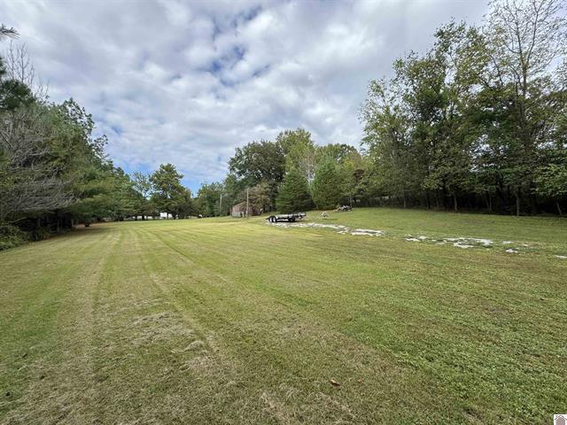 240 Jeff Watson Road Property Photo 7