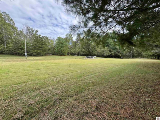 240 Jeff Watson Road Property Photo 8