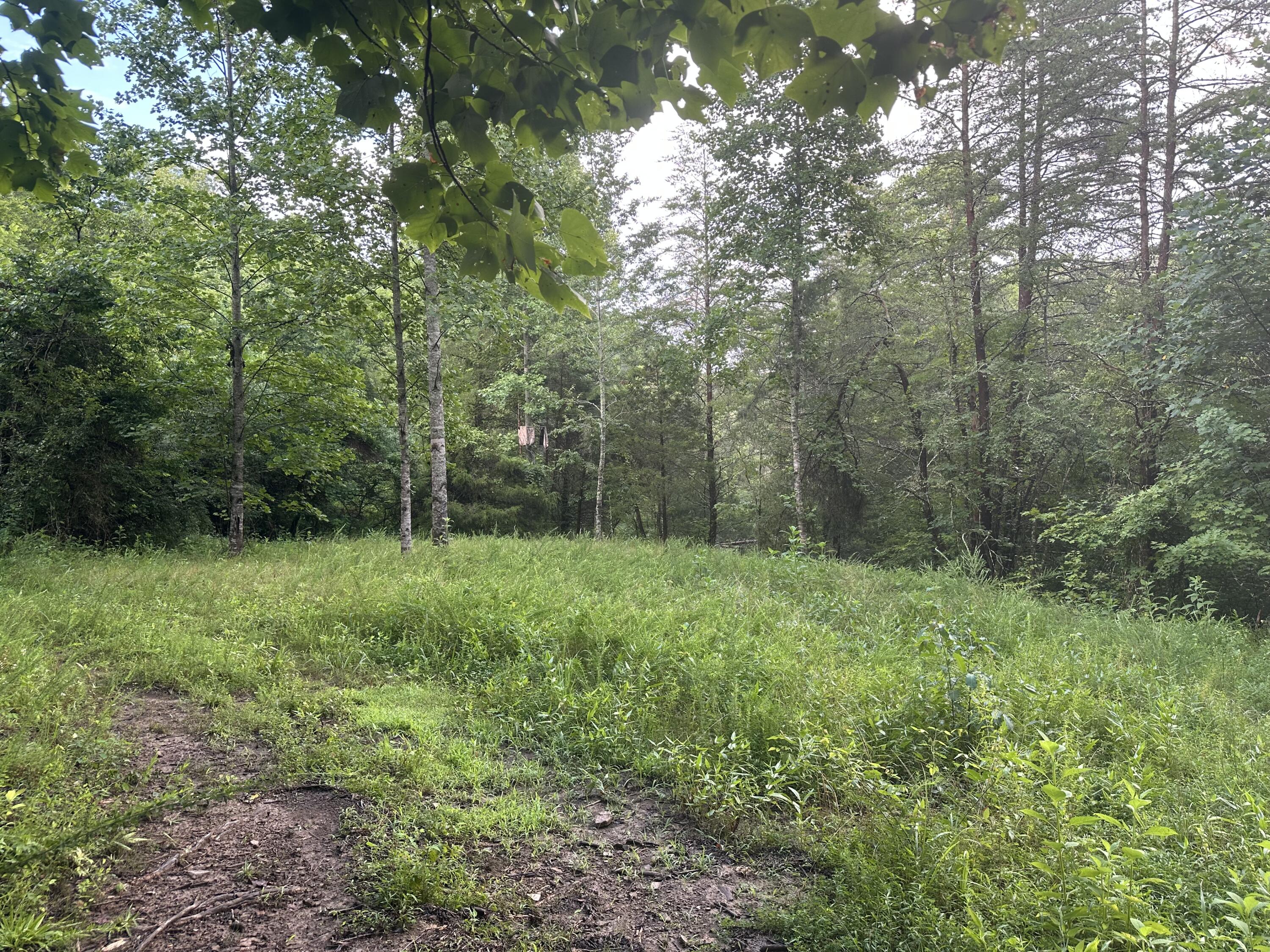 000 Cannon Hollow Rd Road Property Photo 4