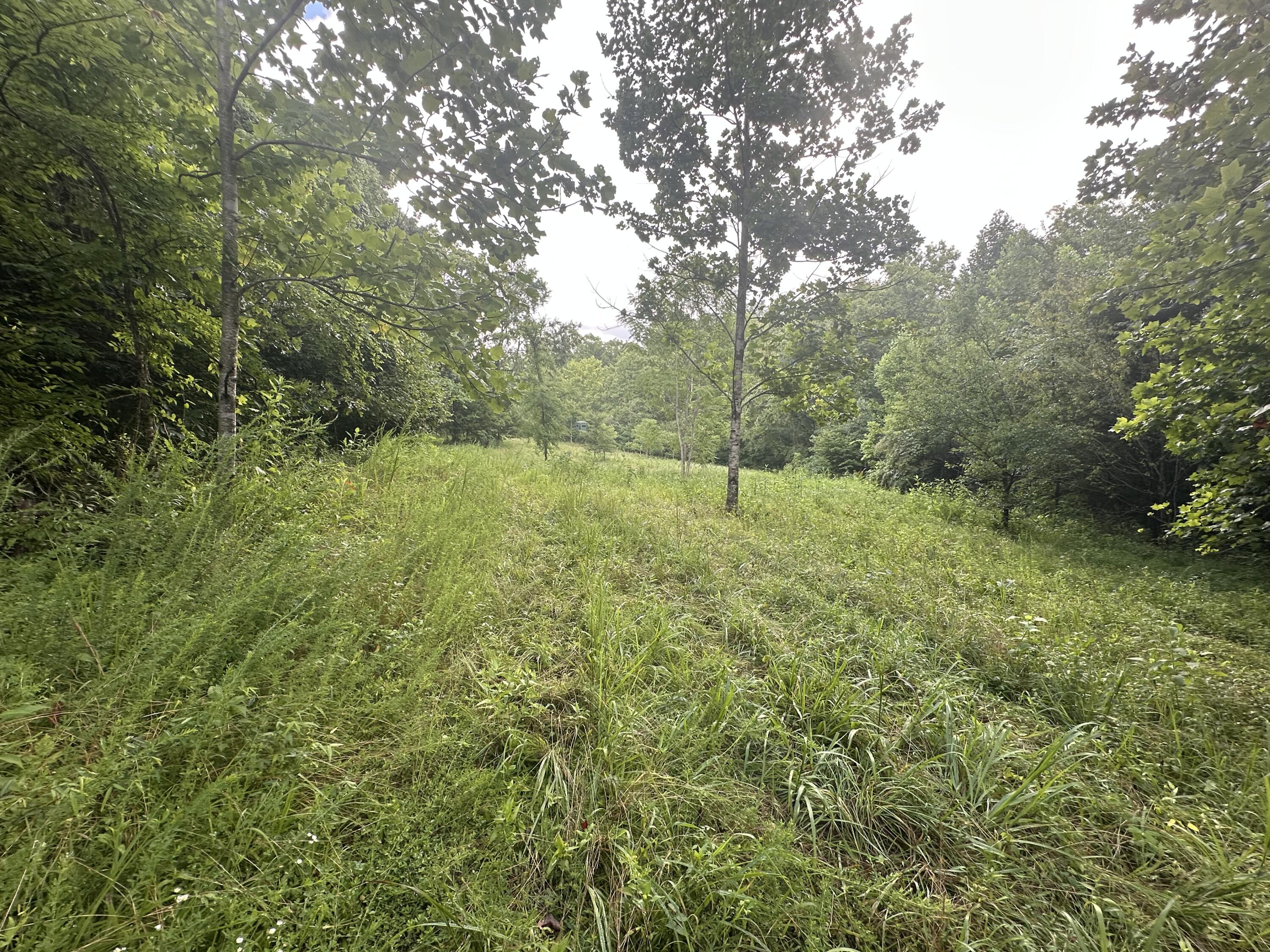 000 Cannon Hollow Rd Road Property Photo 6