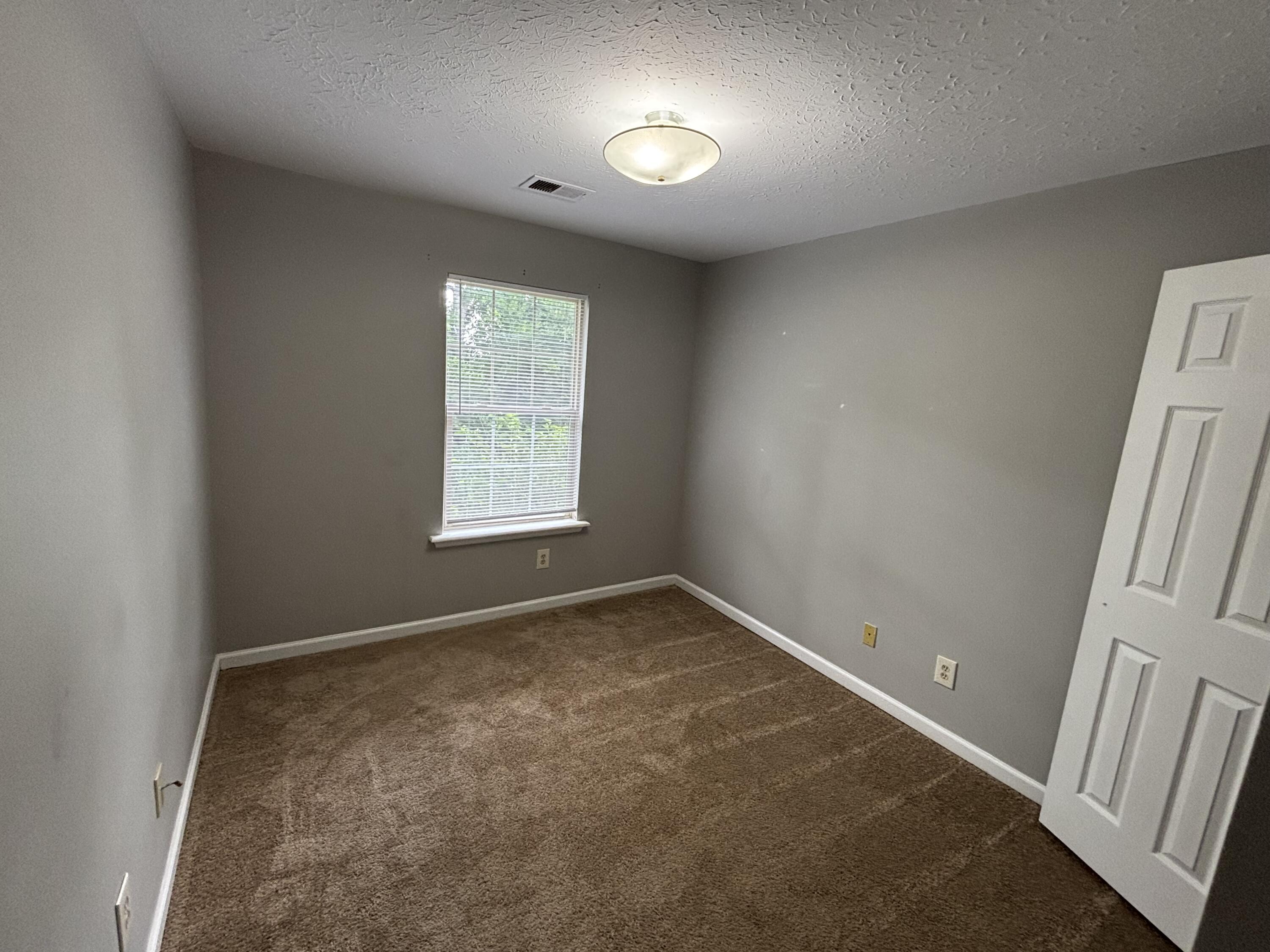 210 Maple Leaf Lane Property Photo 8