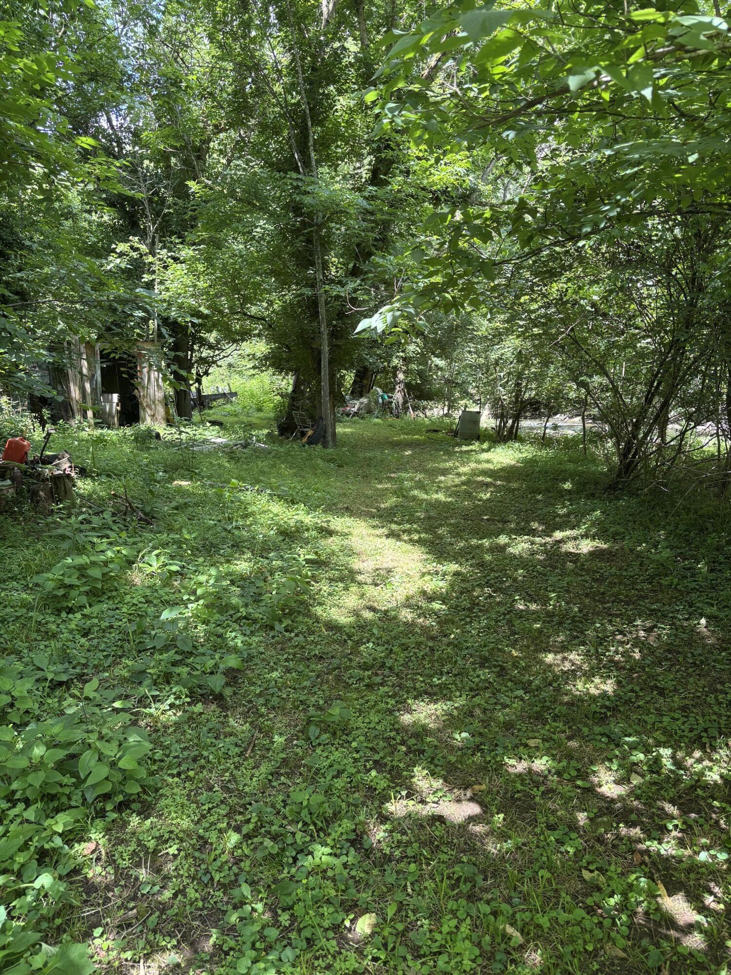 6250 Mccracken Pike Property Photo 6