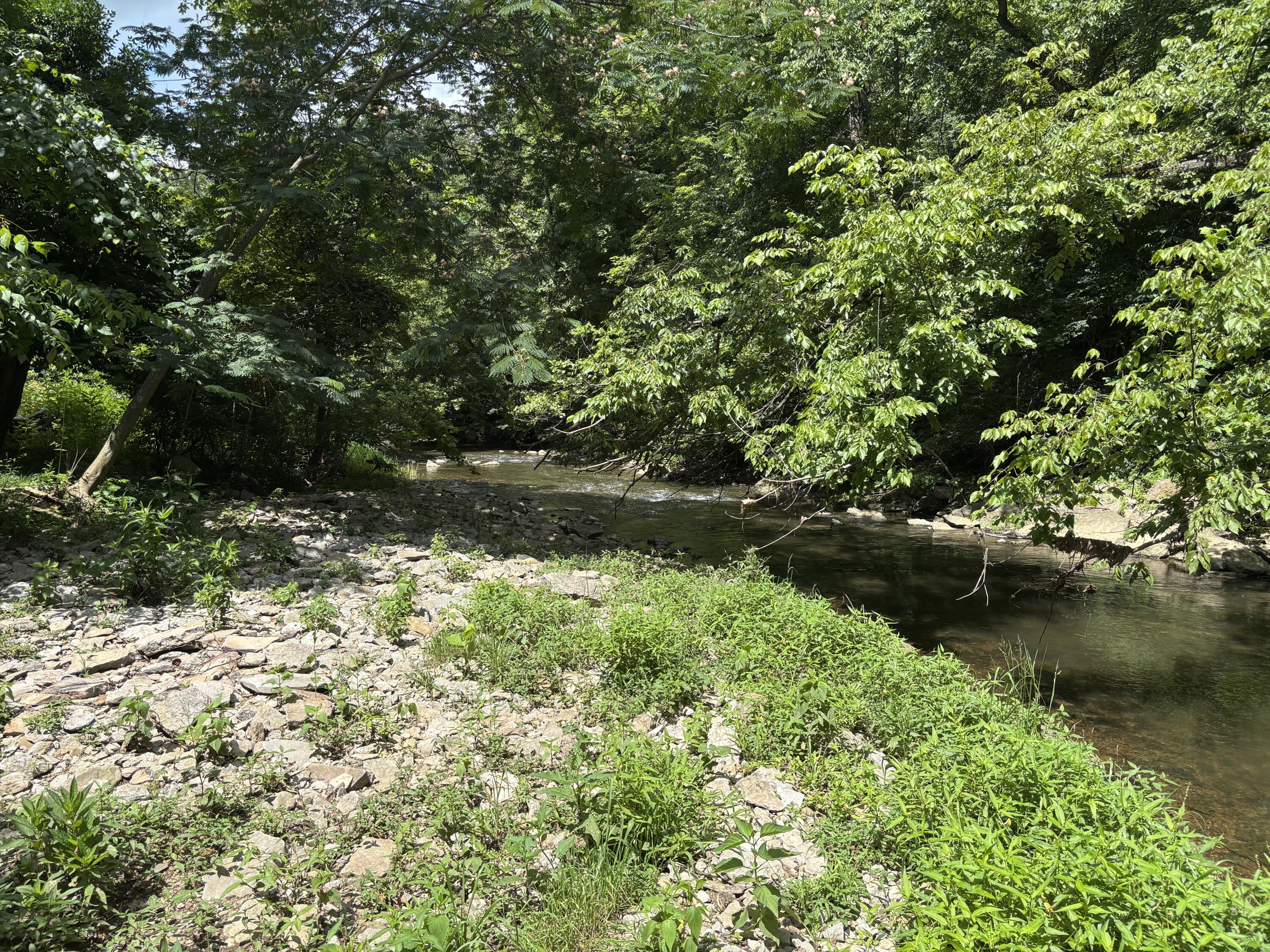 6250 Mccracken Pike Property Photo 9