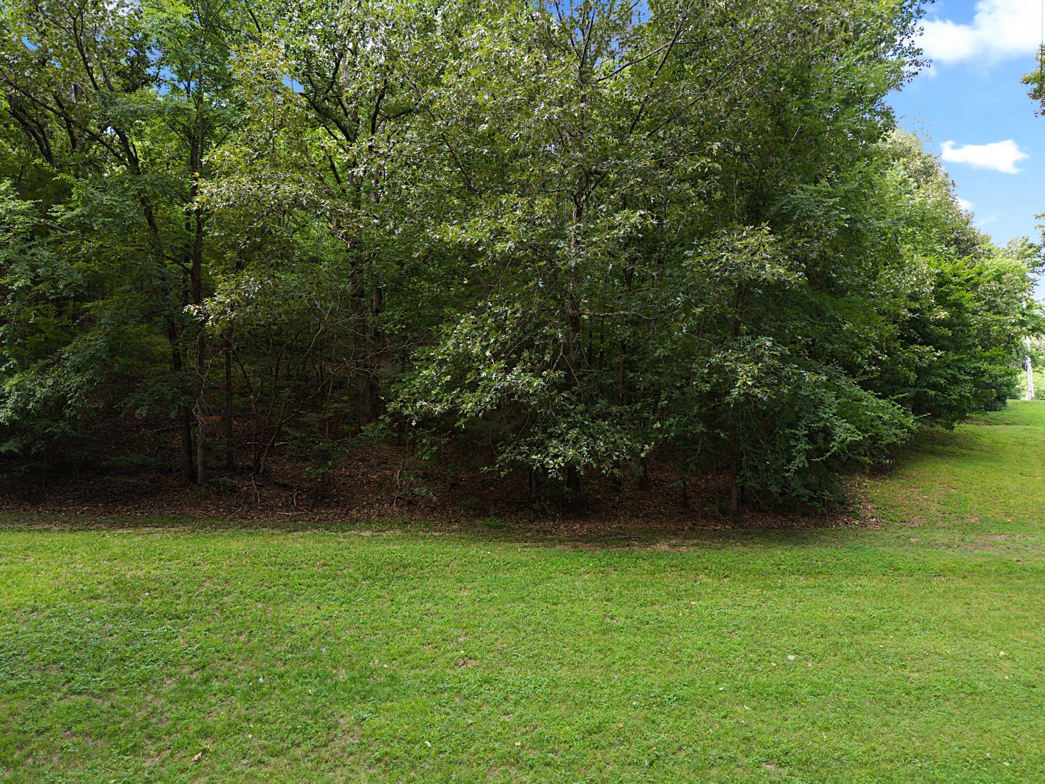 Lot 7 Donaldson Shores Drive Property Photo 5
