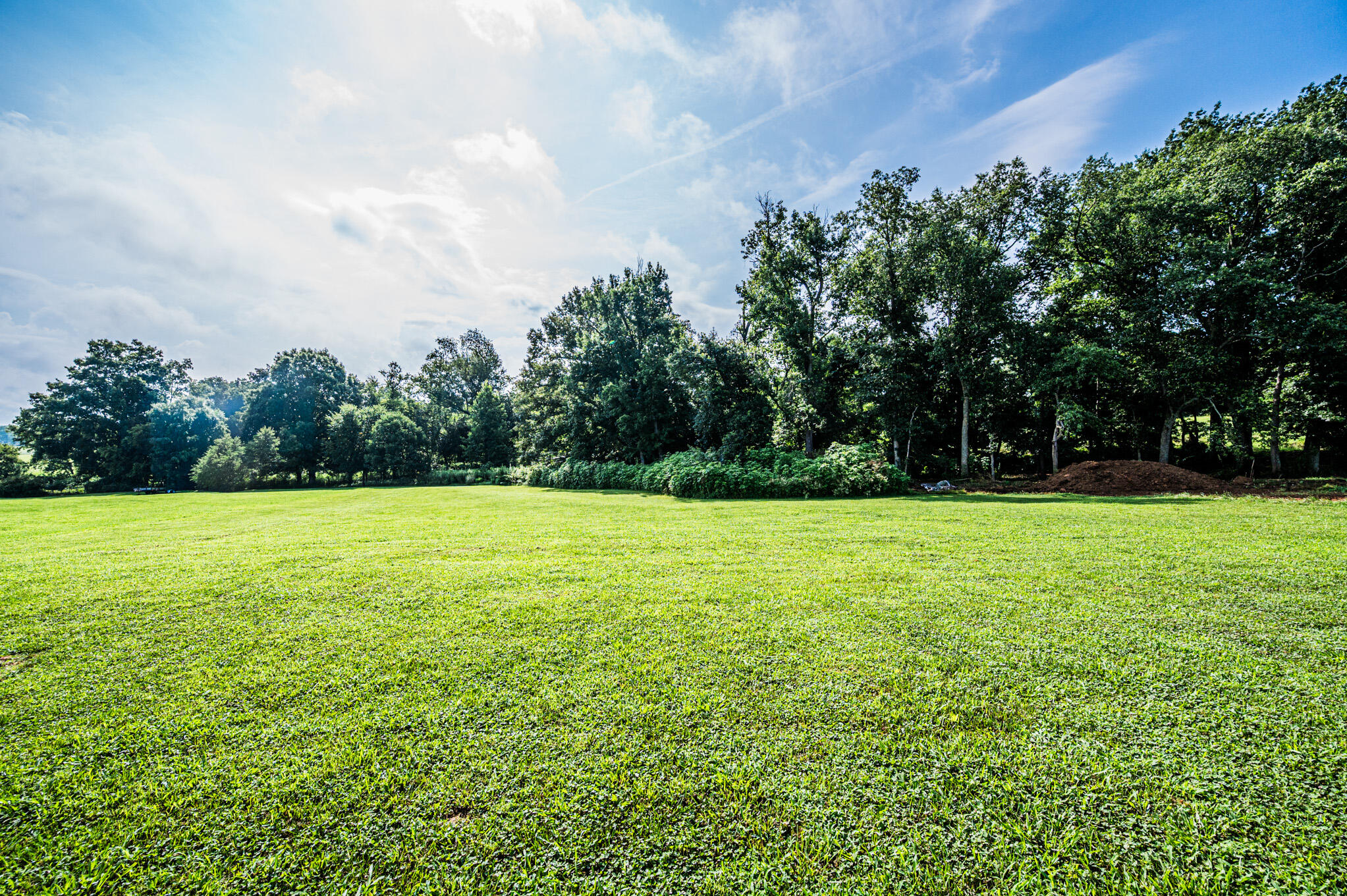 260 Walnut Grove Drive Property Photo 6