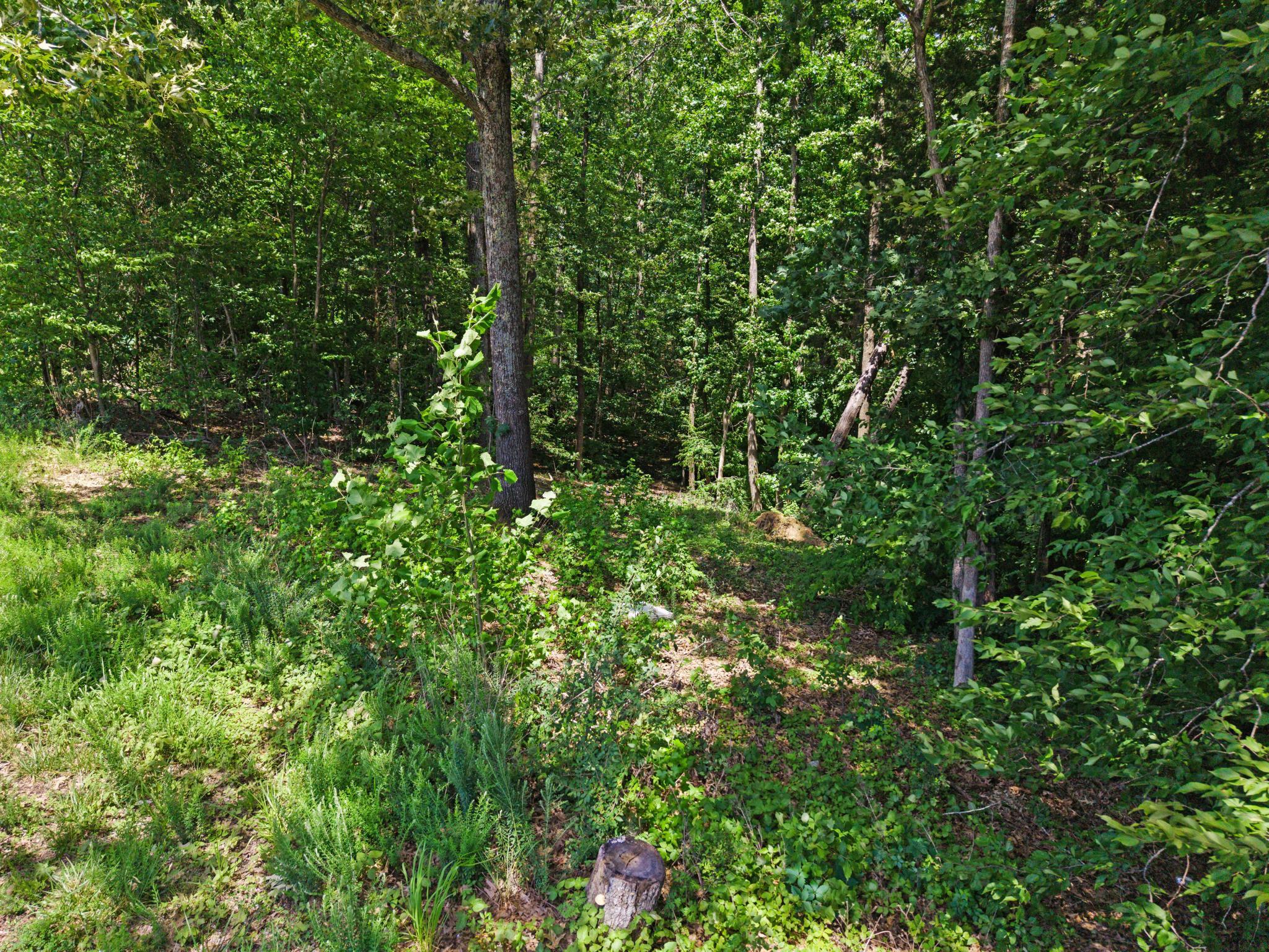 Lot 30 Sutherland Winds Whispering Winds Road Property Photo 6