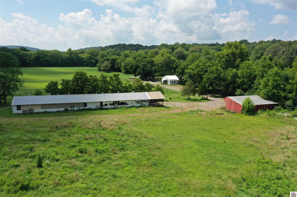 0 Turkey Knob Road Property Photo 6