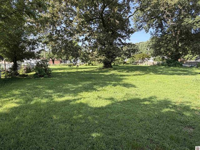 3032 Mayfield Road Property Photo 15
