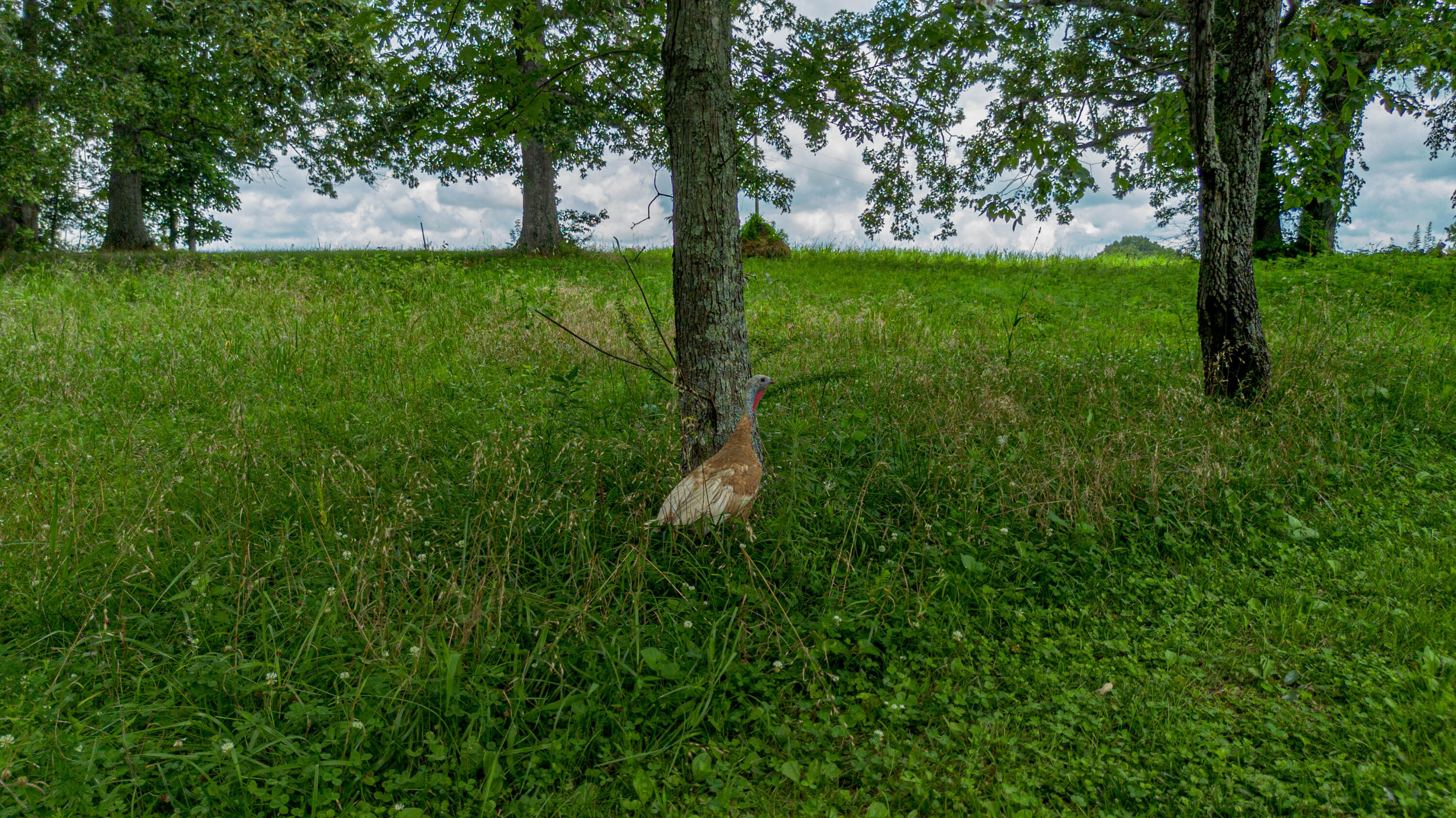 1575 Dyke Road Property Photo 4