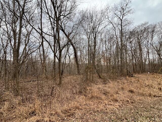 0 Pelican Way Property Photo 8