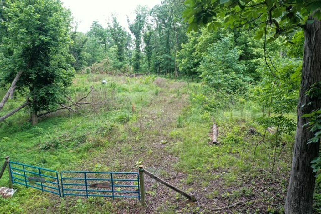 449 Baker Lane Property Photo 1