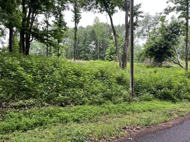 449 Baker Lane Property Photo 11