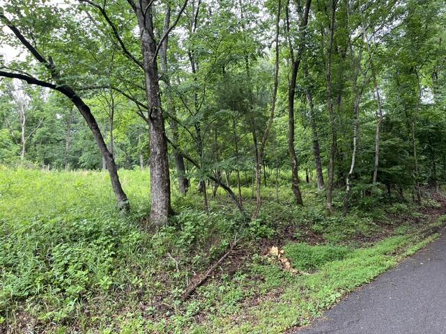 449 Baker Lane Property Photo 14