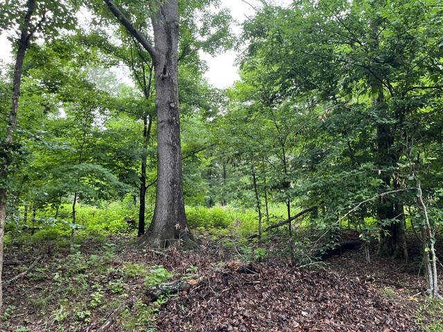 449 Baker Lane Property Photo 15
