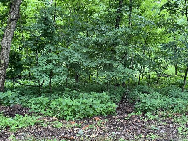 449 Baker Lane Property Photo 16