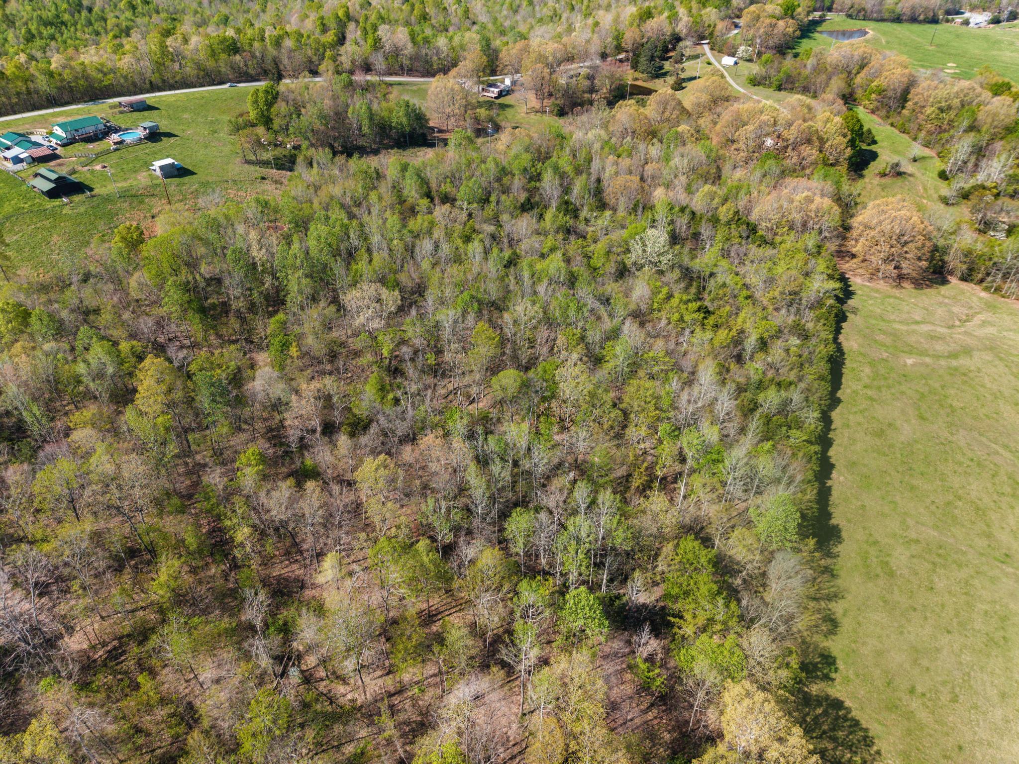 3094 Siloam Road Property Photo 38