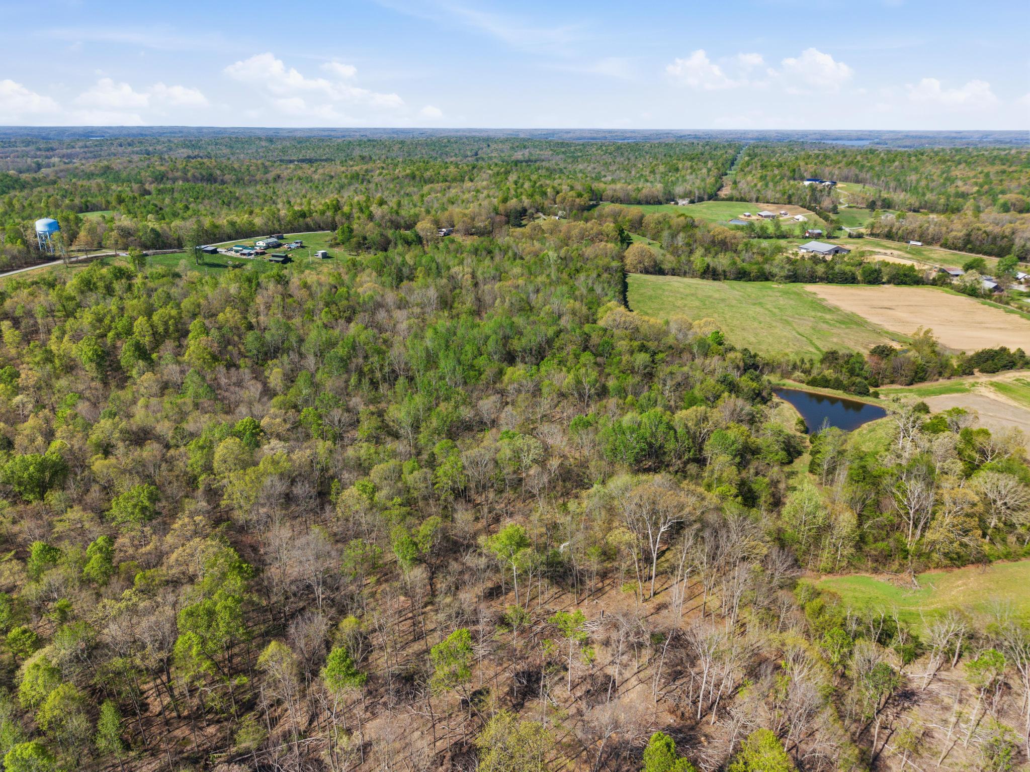3094 Siloam Road Property Photo 39