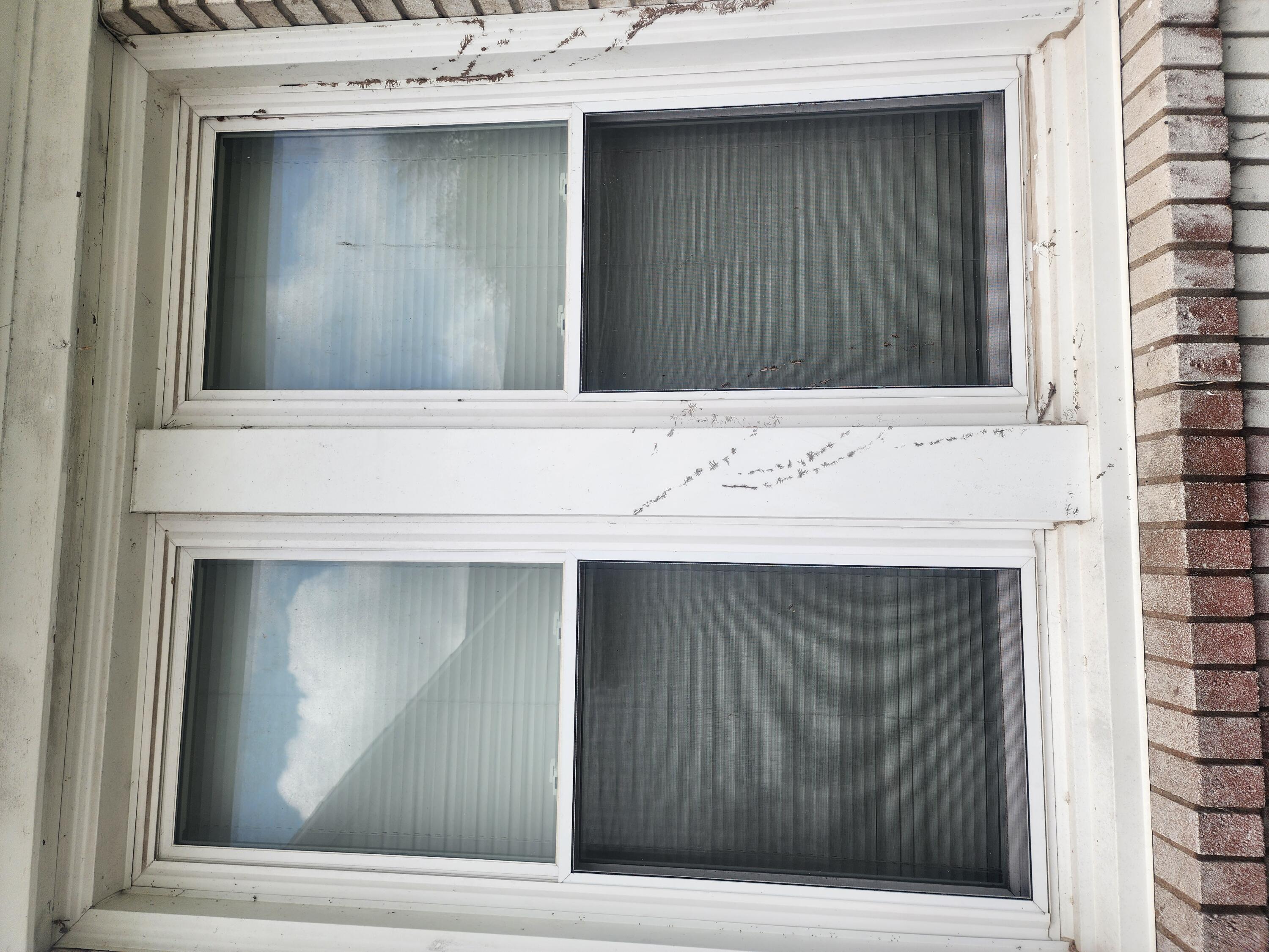 113 Liberty Street Property Photo 4