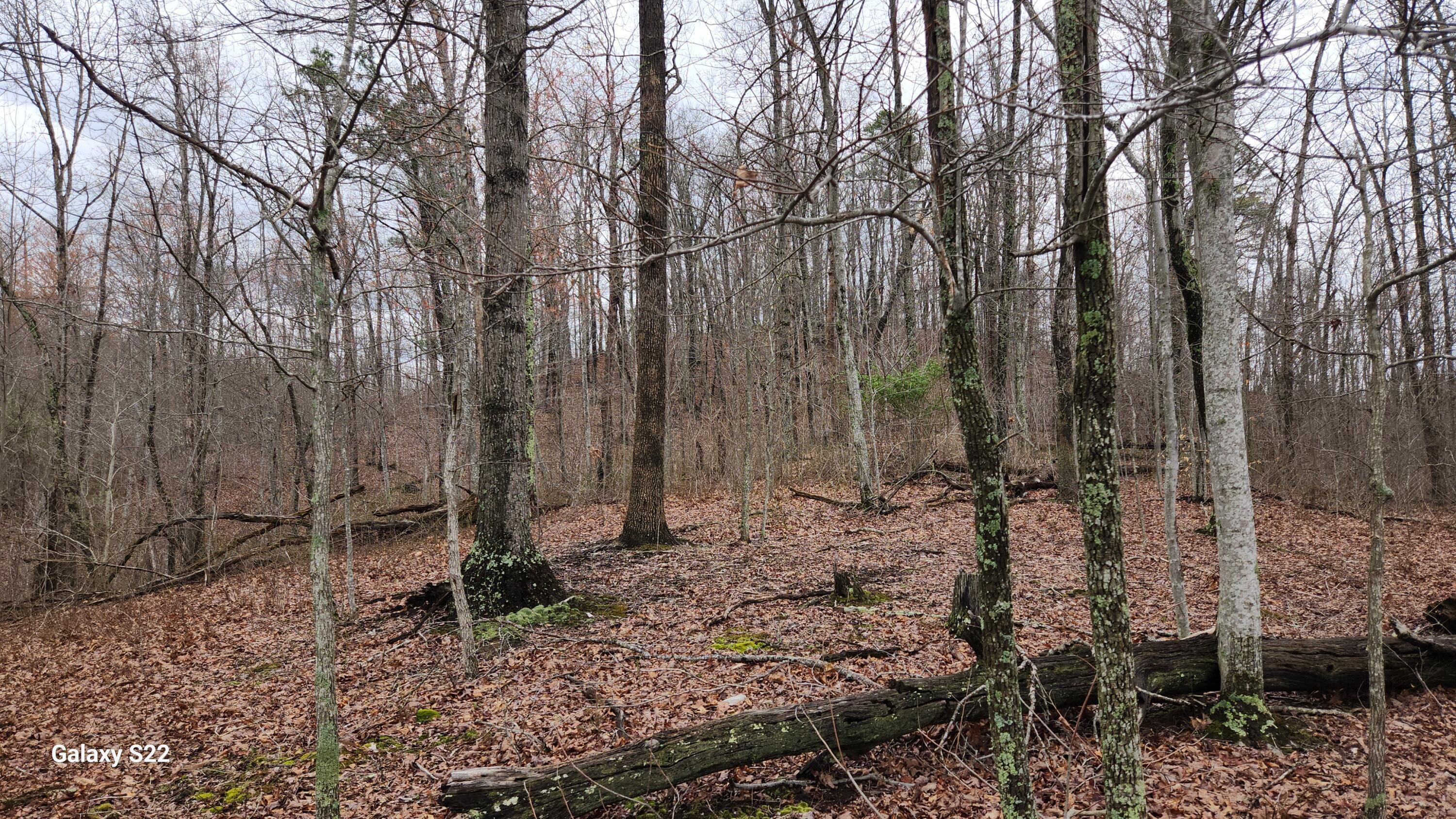 3504 East Fork Road Property Photo 1