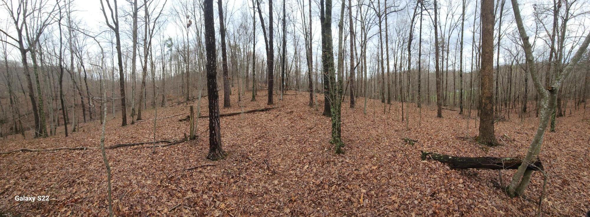 3504 East Fork Road Property Photo 2