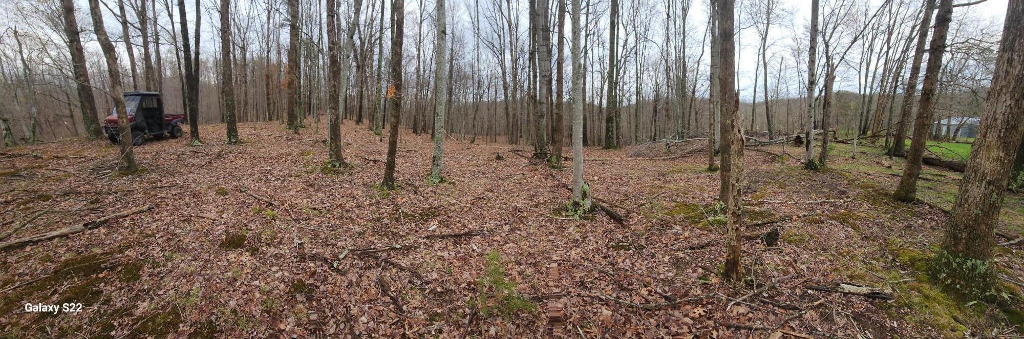 3504 East Fork Road Property Photo 3