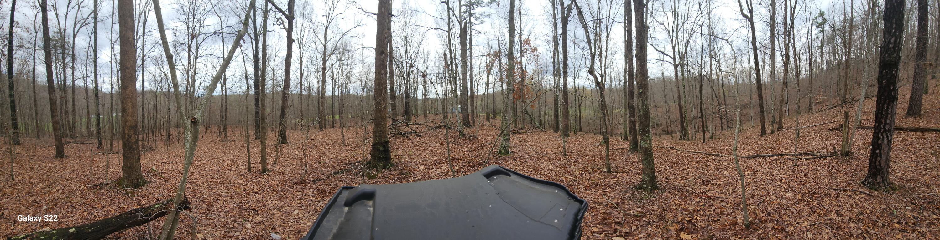 3504 East Fork Road Property Photo 4