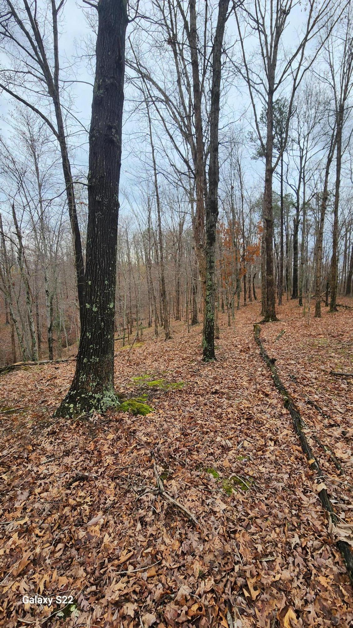 3504 East Fork Road Property Photo 6