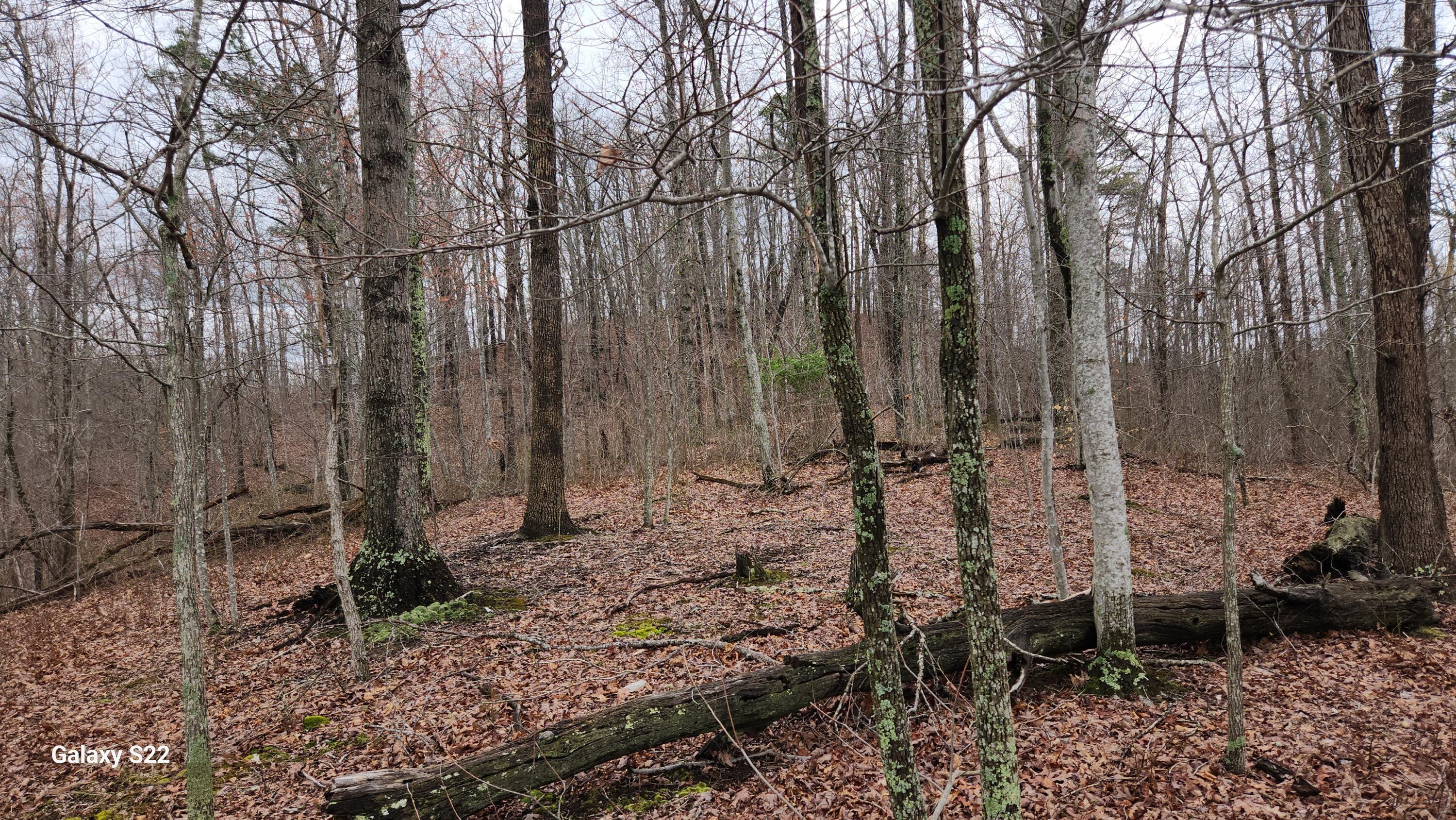 3504 East Fork Road Property Photo 7