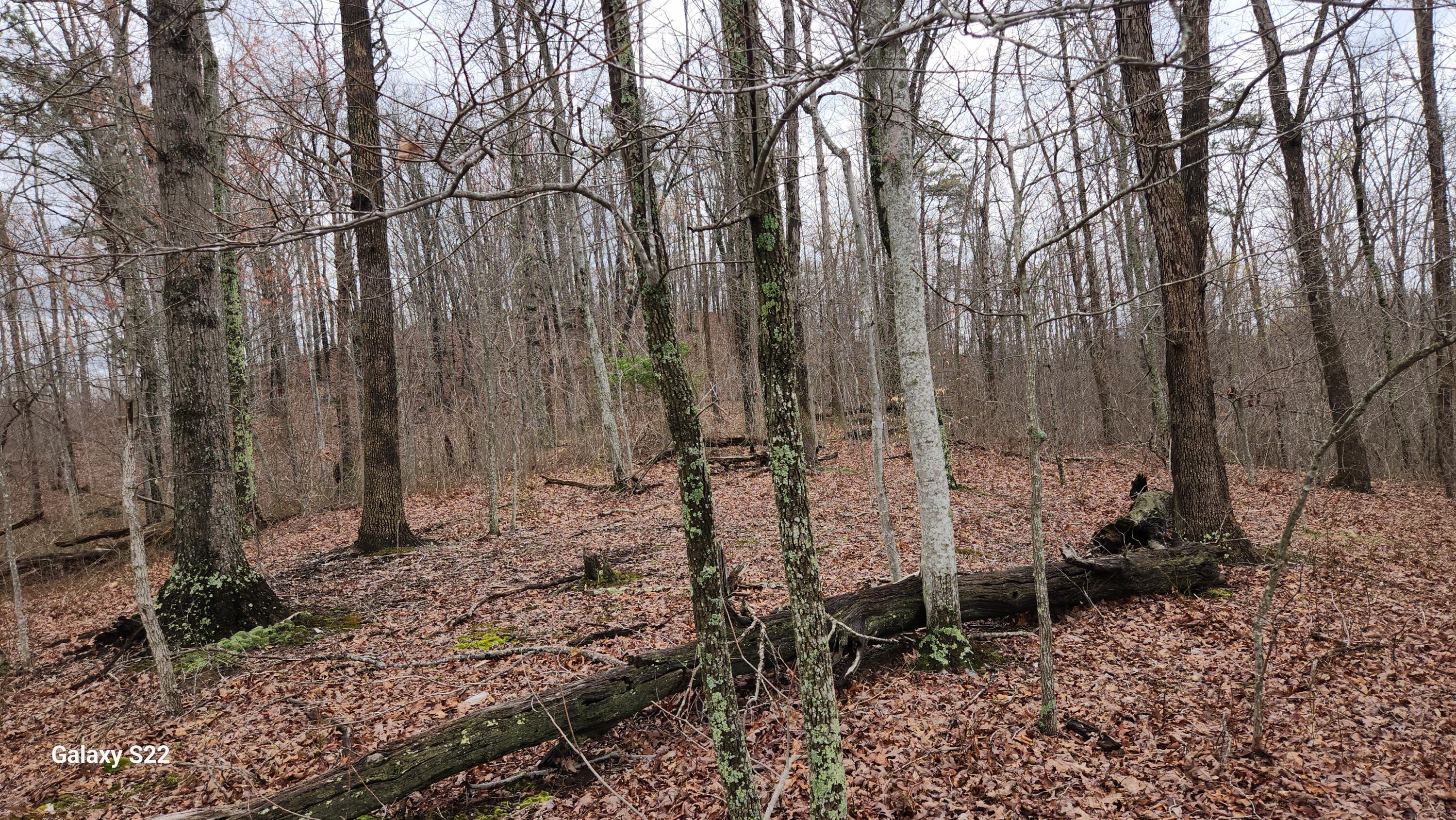 3504 East Fork Road Property Photo 8