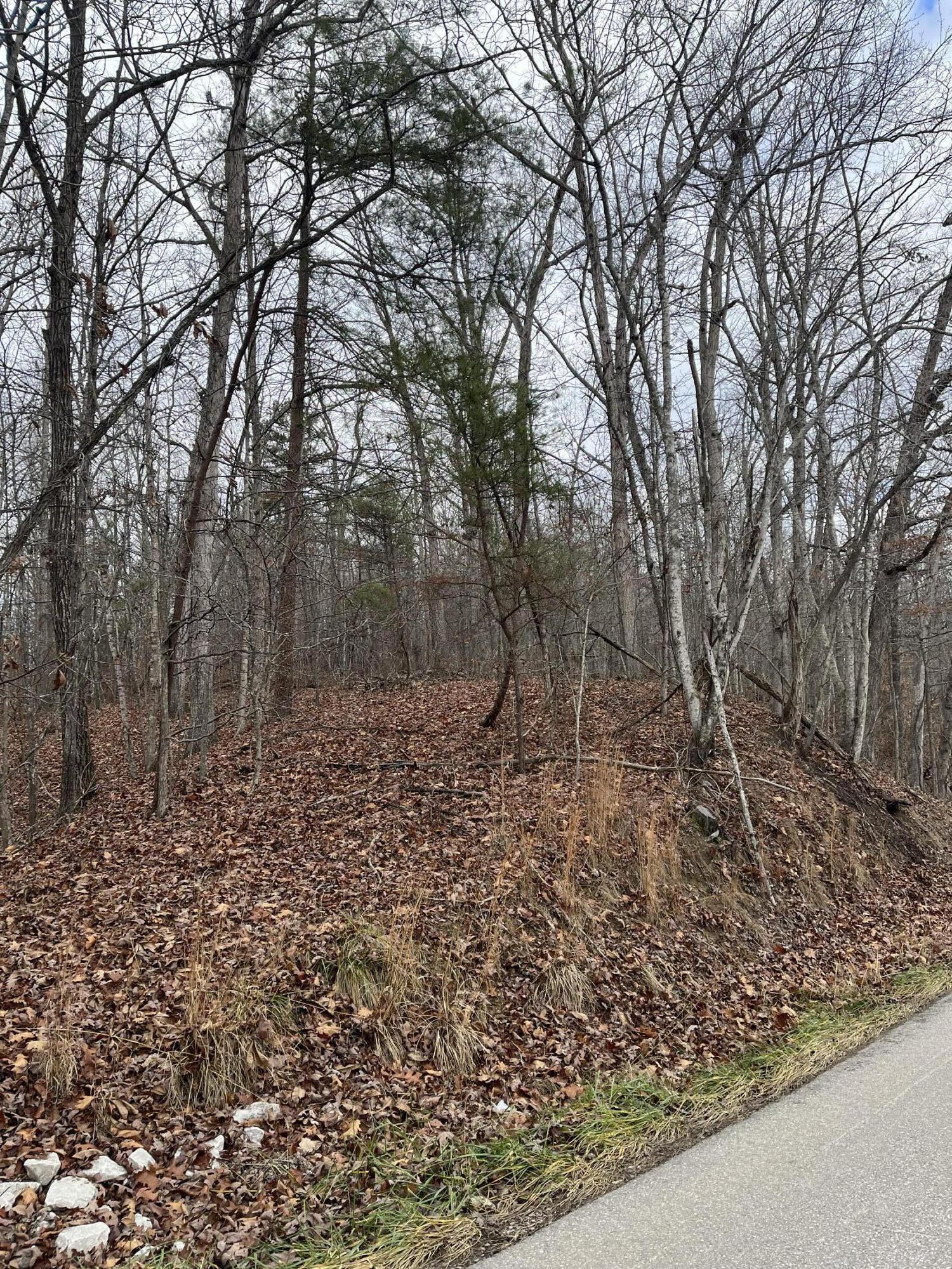 3504 East Fork Road Property Photo 11