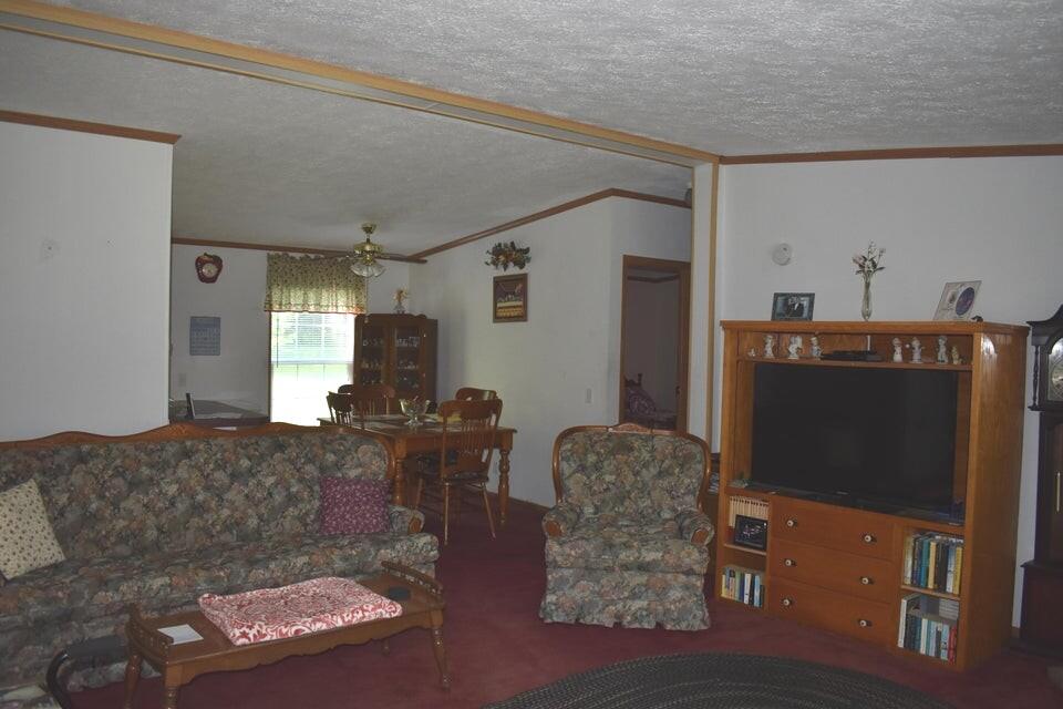 2773 Mud Lick Road Property Photo 5
