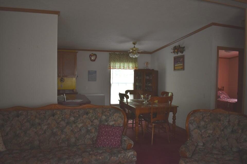 2773 Mud Lick Road Property Photo 7