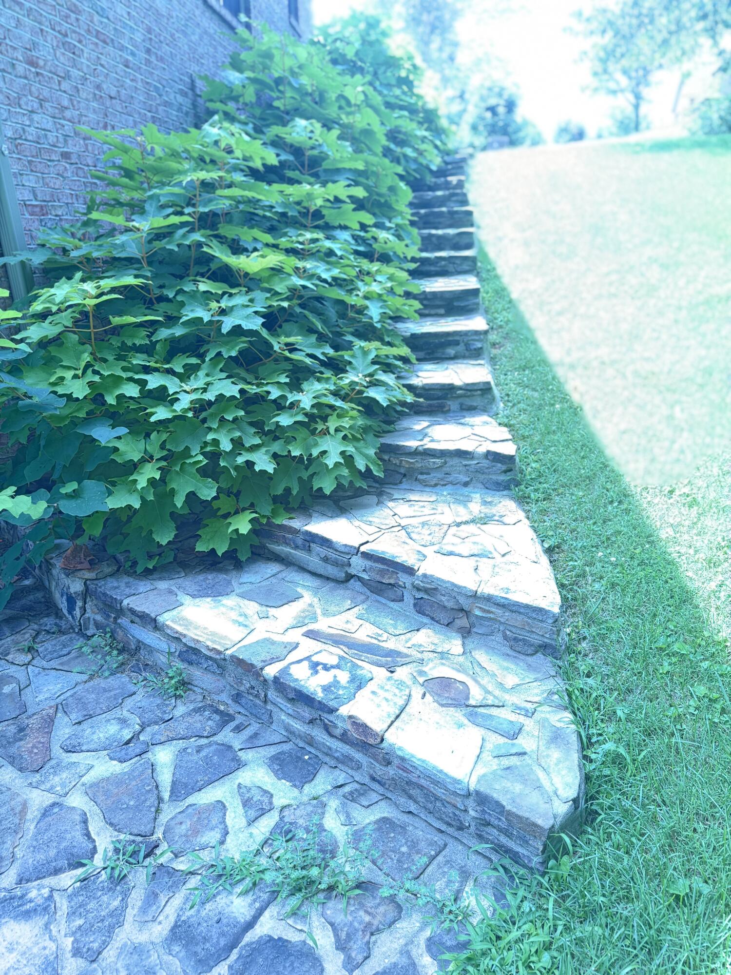 453 Water Cliff Drive Property Photo 27