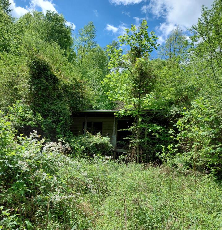 803 Hall Branch Road Property Photo 2