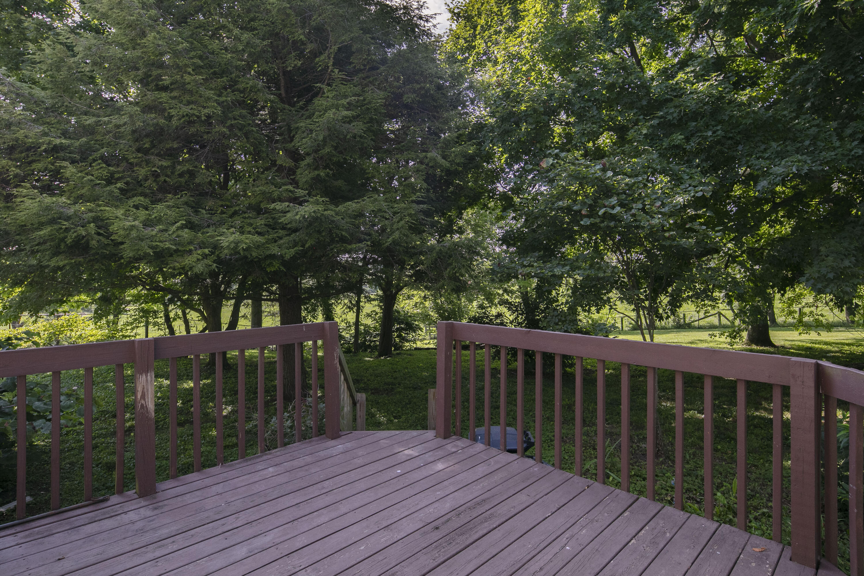 4603 Paris Road Property Photo 22