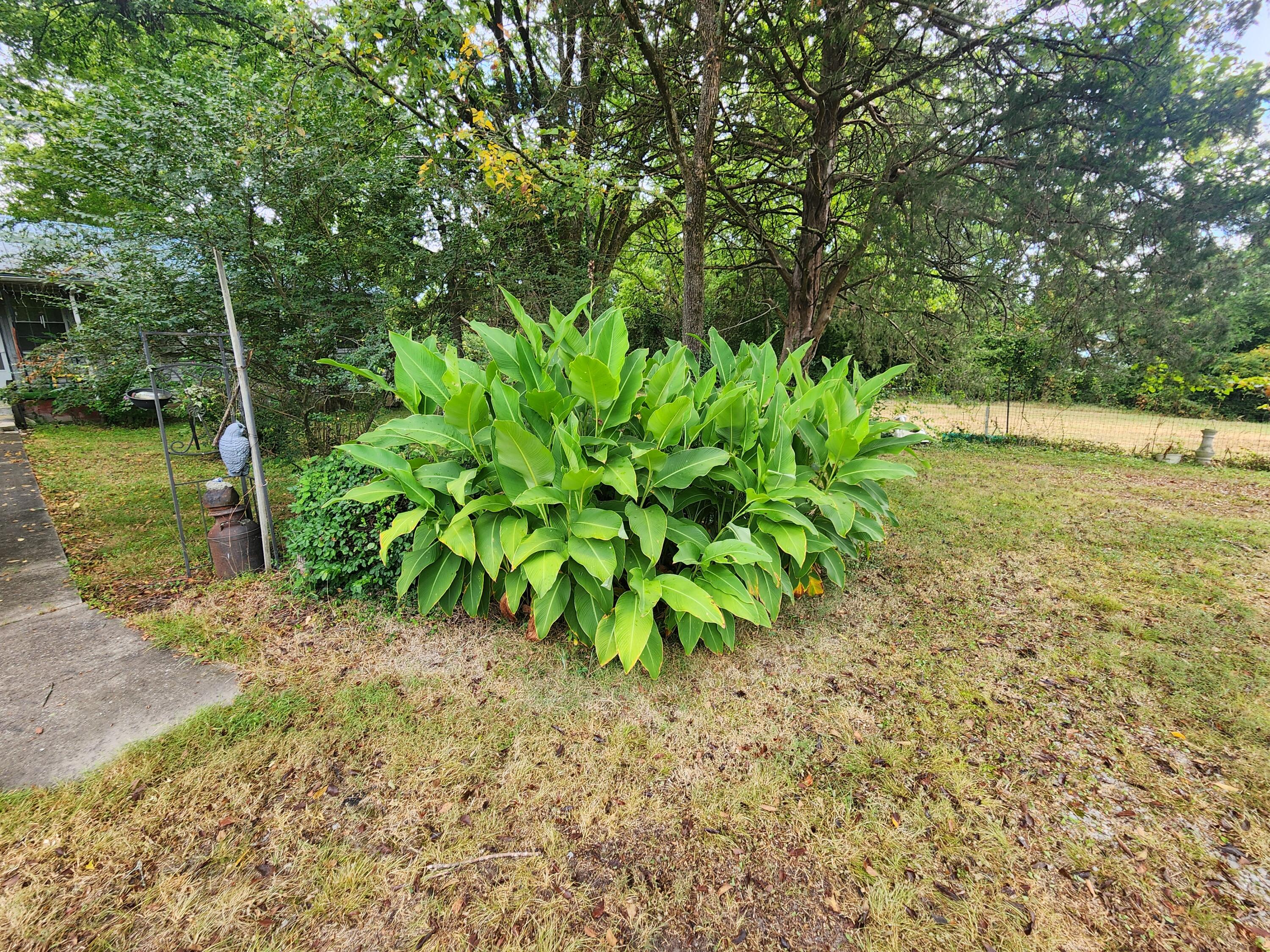 6670 Newstead Road Property Photo 6