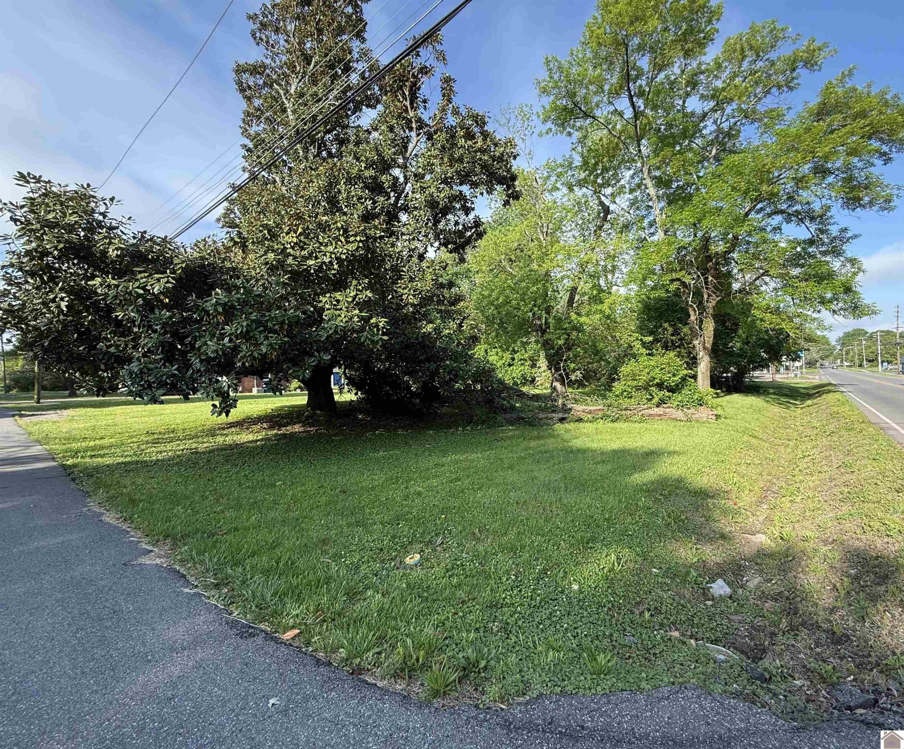 805 Sycamore Street Property Photo 3
