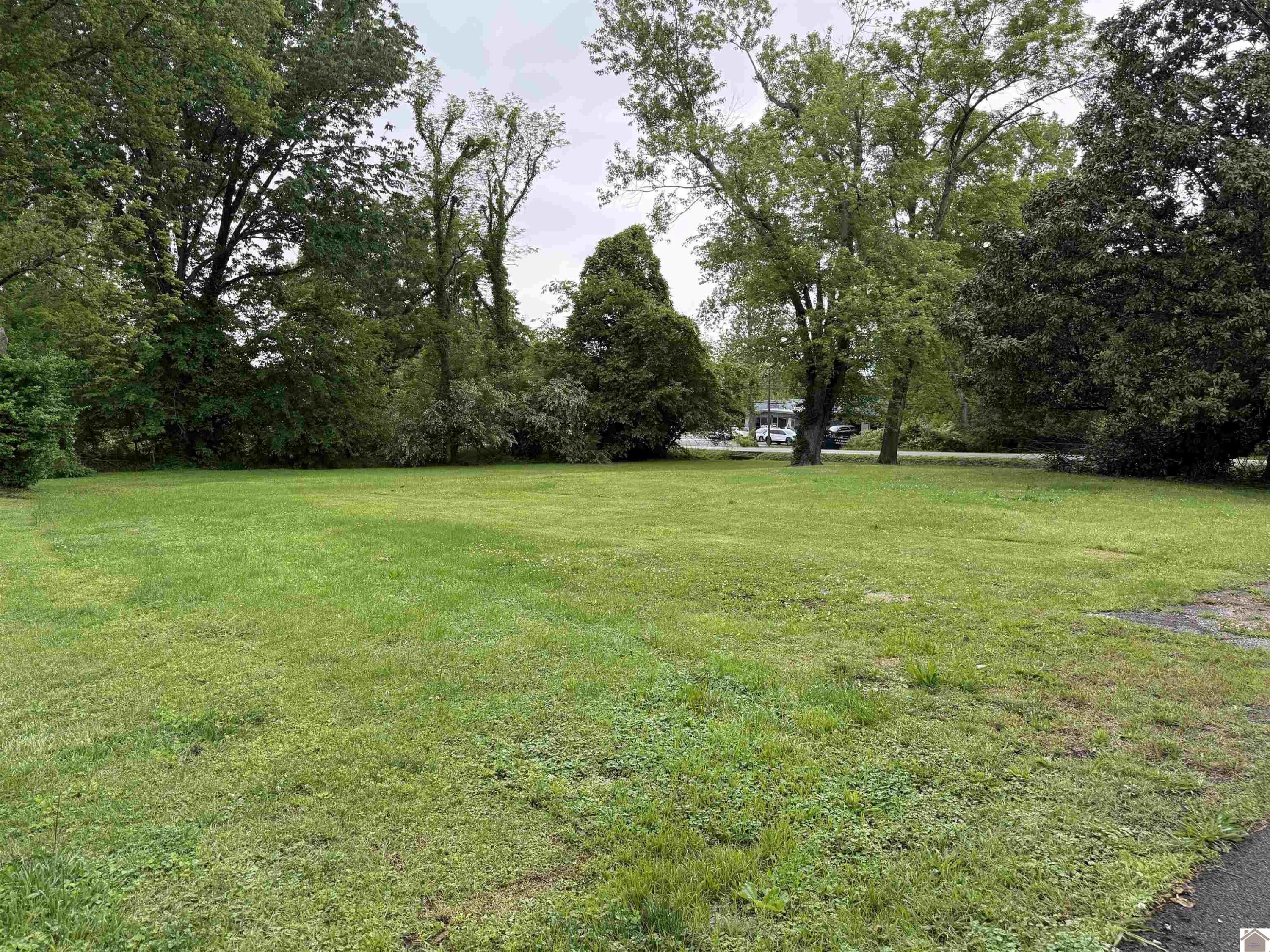 805 Sycamore Street Property Photo 5
