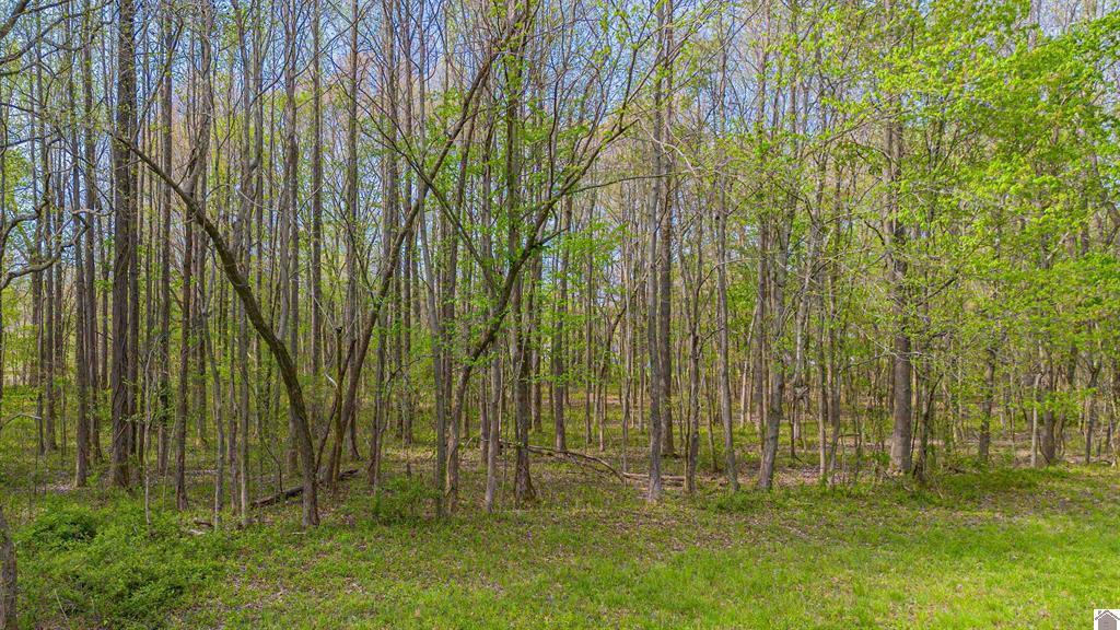 1740 Husband Road Property Photo 10