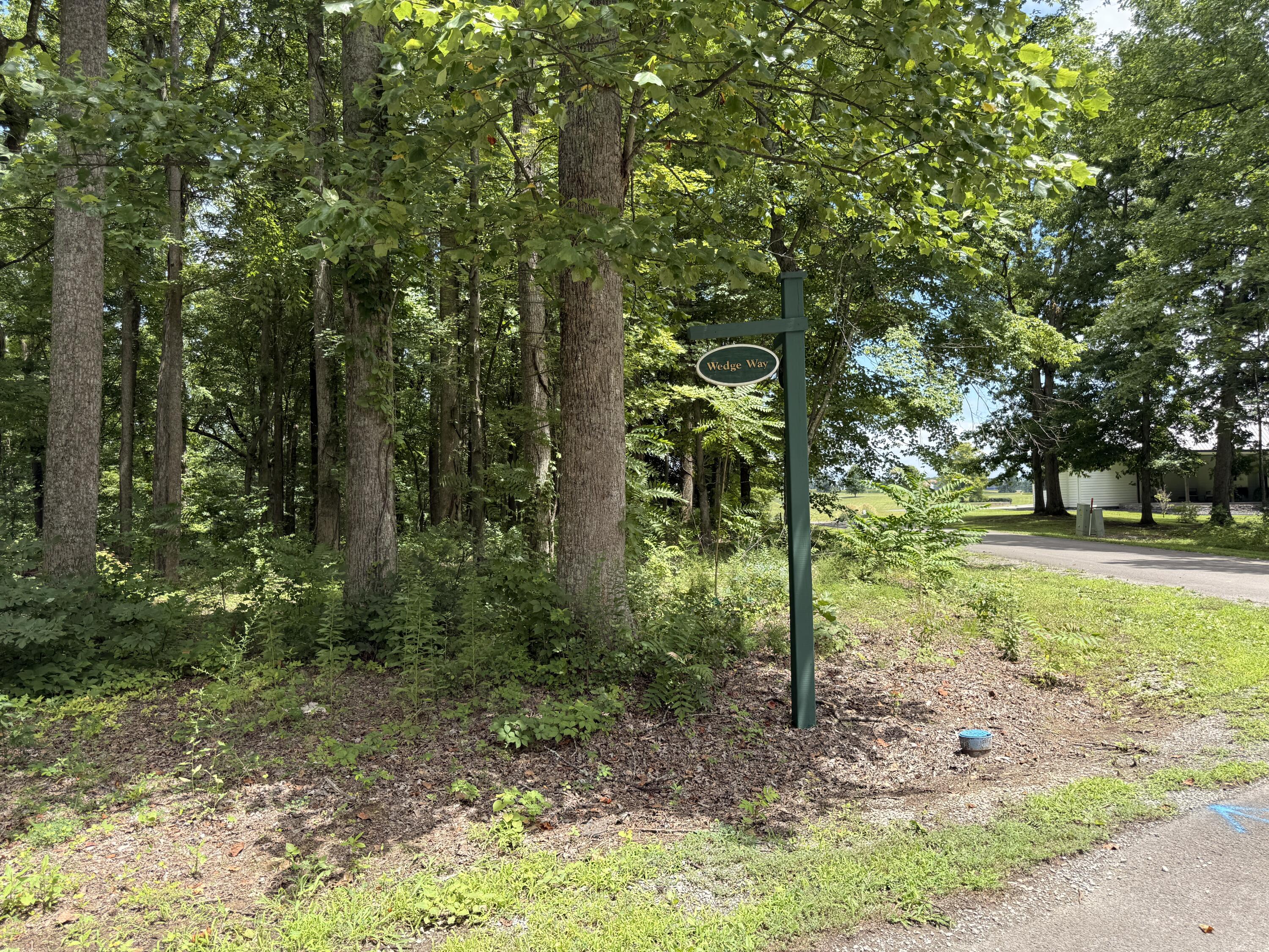 128 Wedge Way Property Photo 9