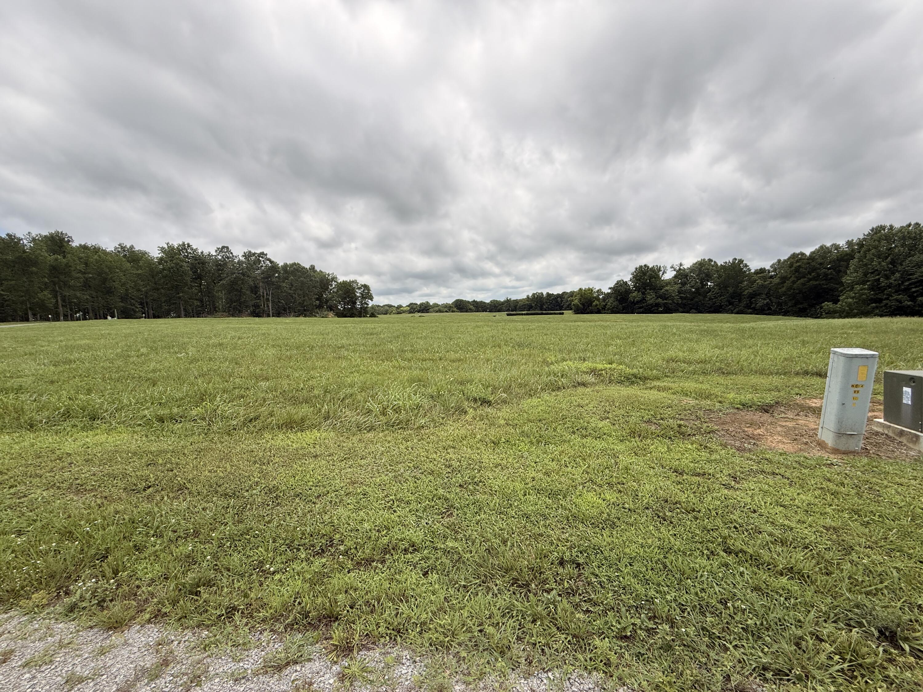 128 Wedge Way Property Photo 12