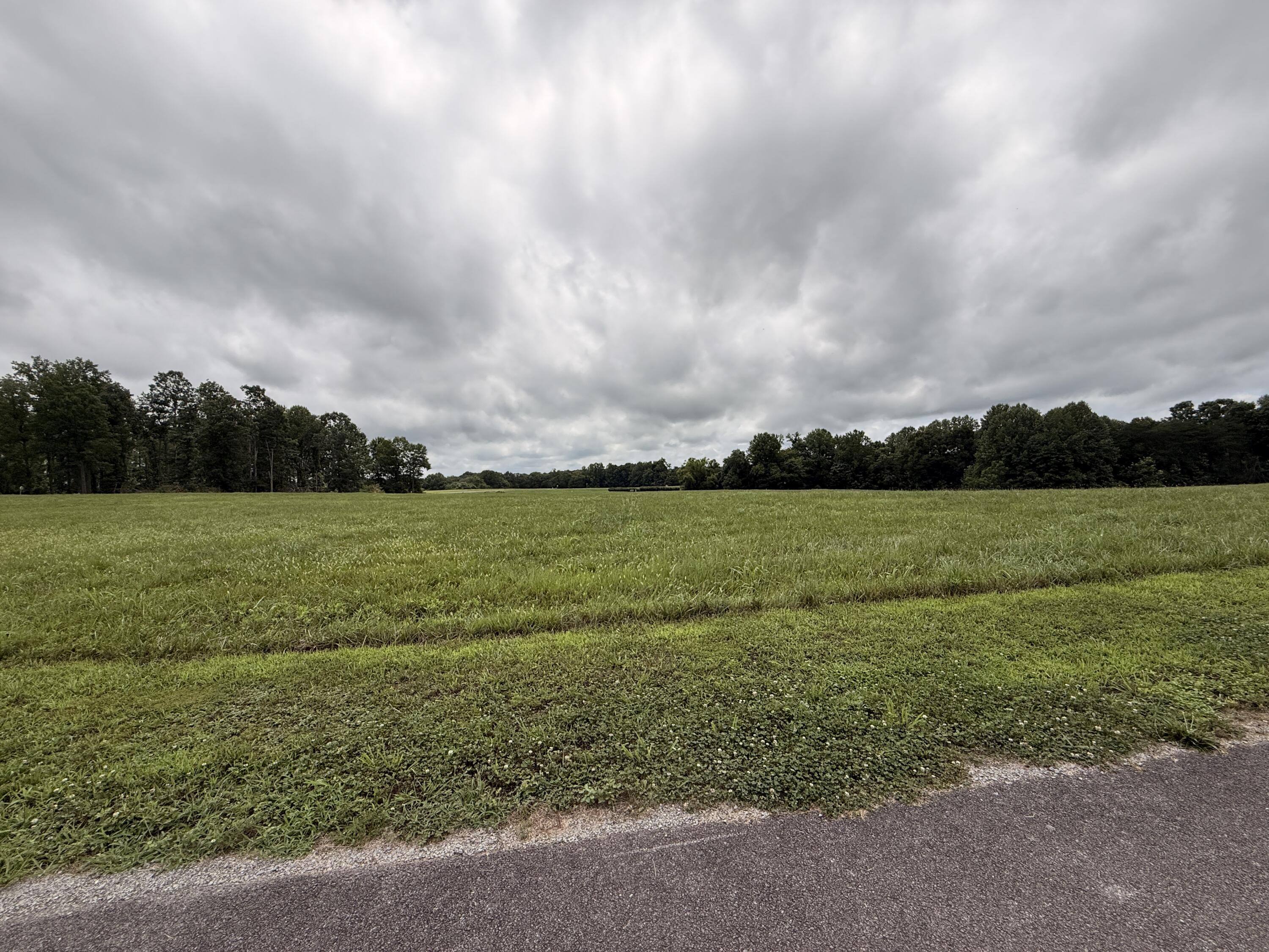 128 Wedge Way Property Photo 15