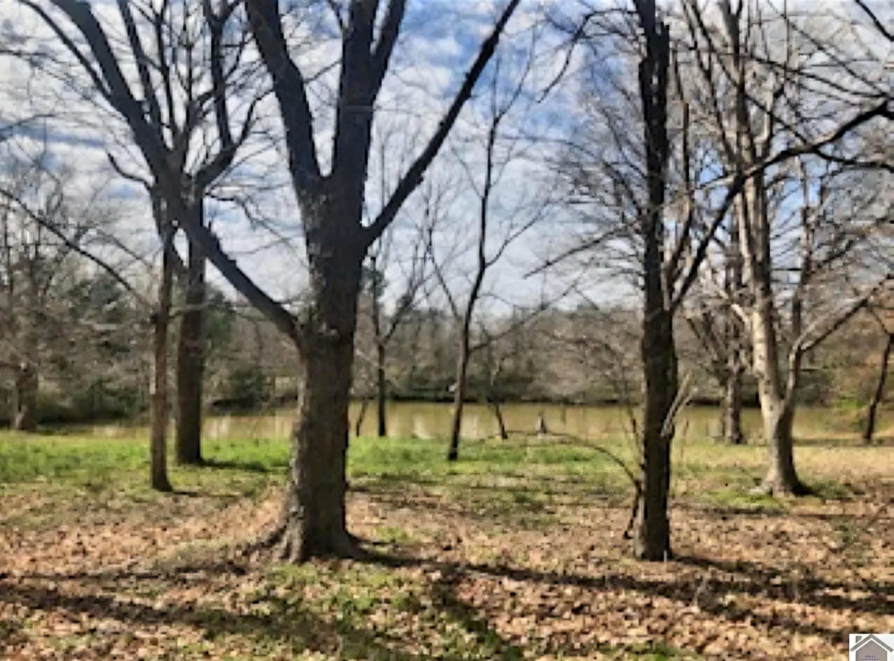 5616 Kentucky 339 Property Photo 5
