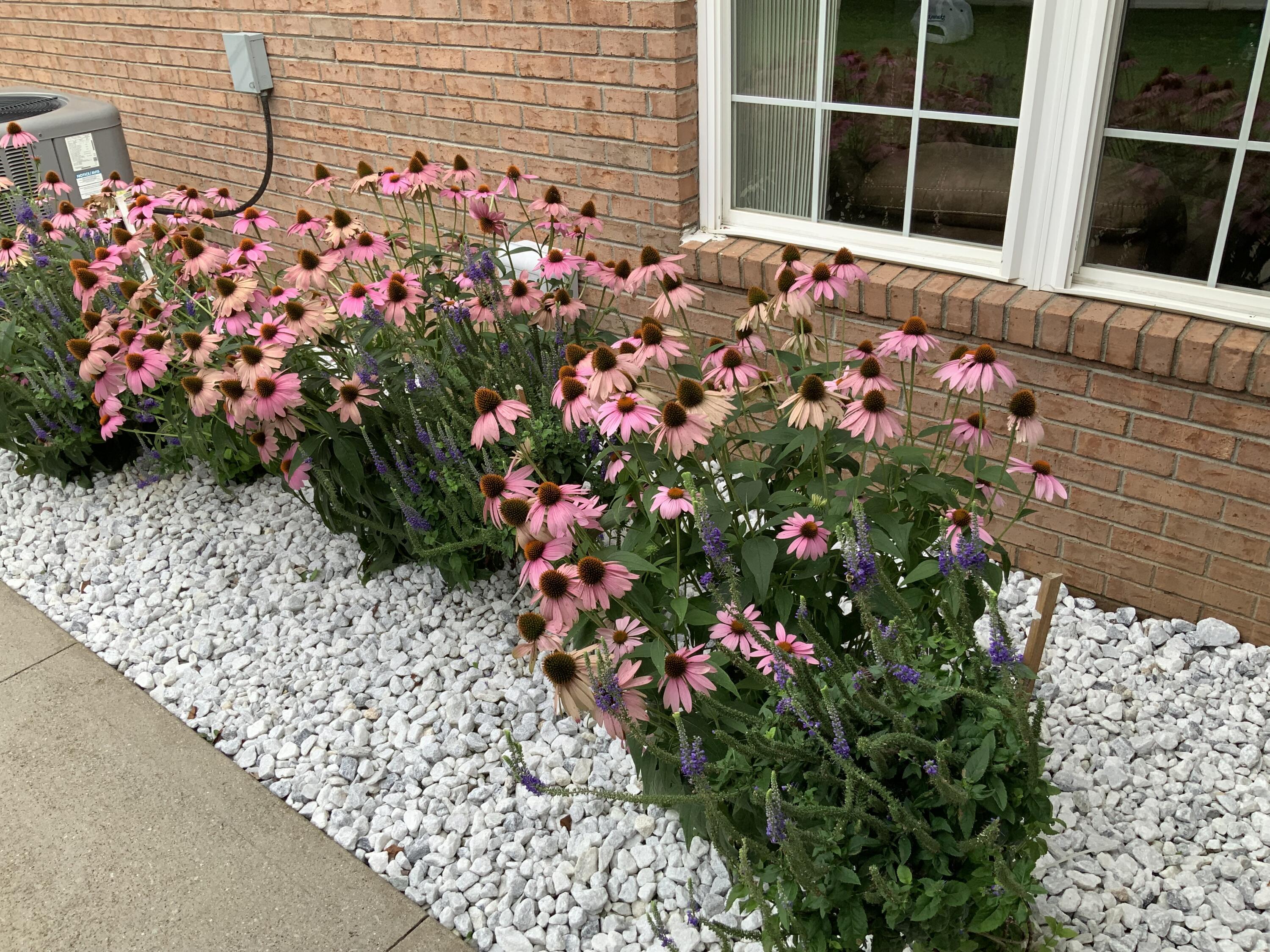 175 Manchester Lane Property Photo 18