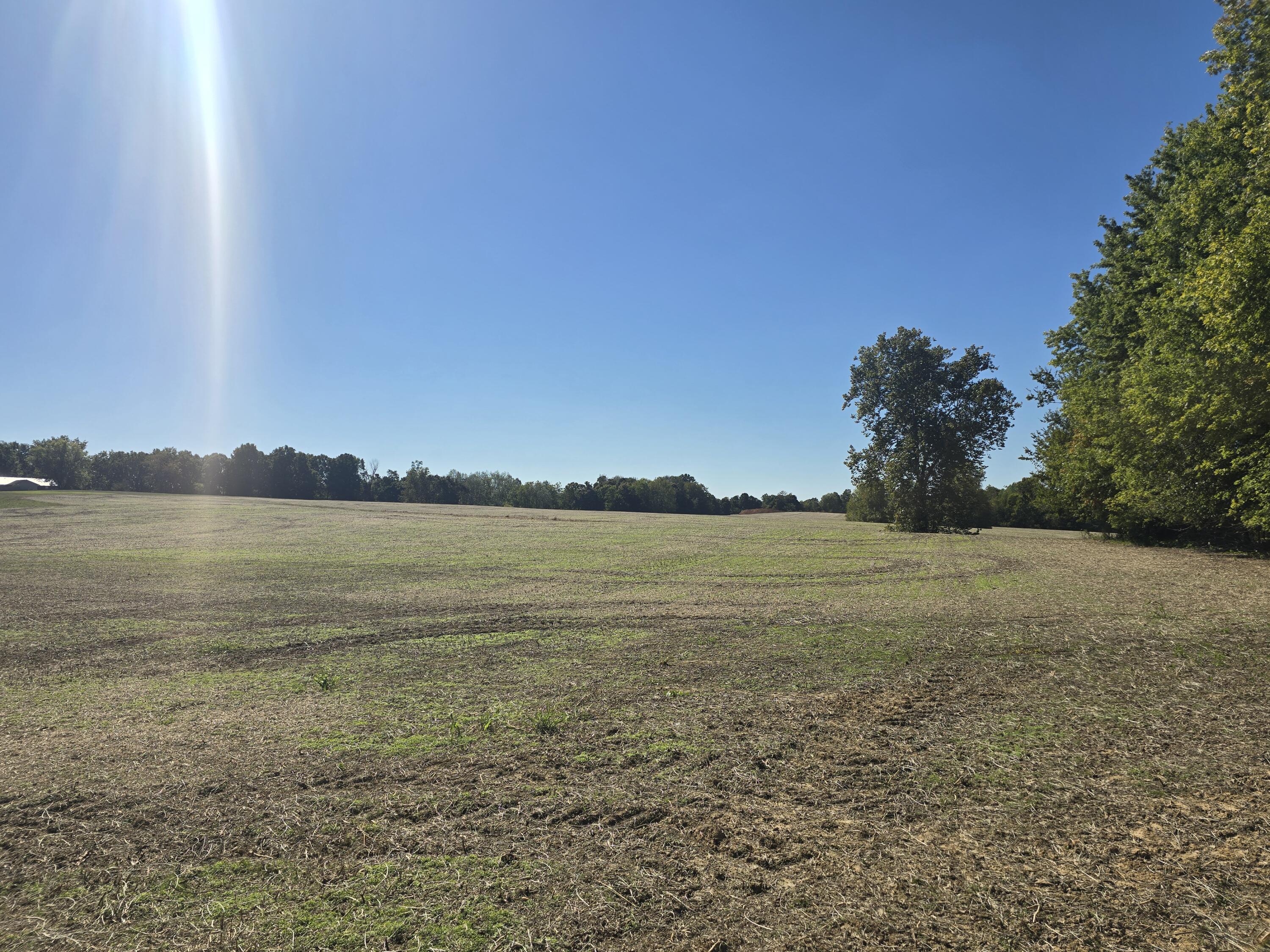 Tract Iii N State Route 295 Property Photo 2